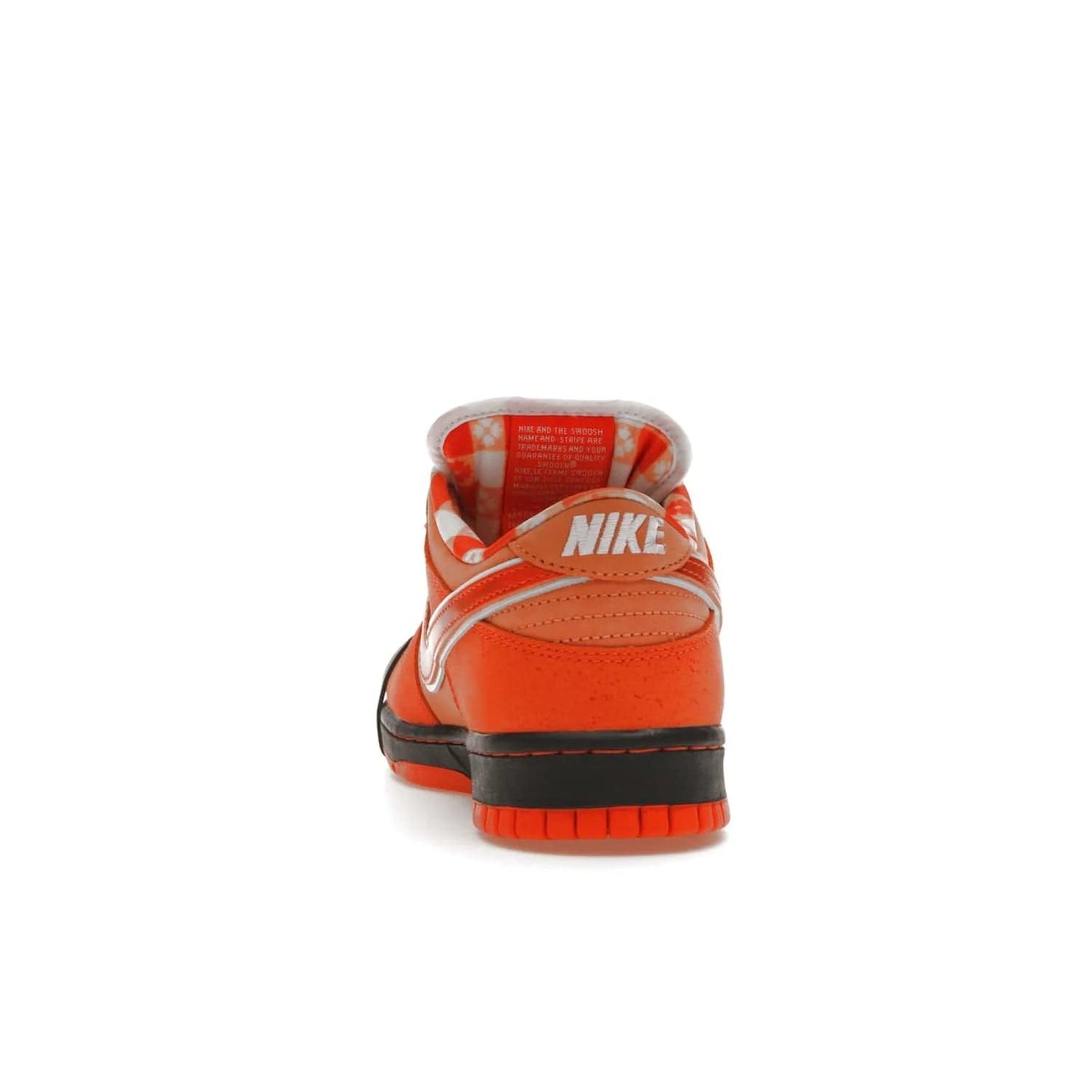 Nike SB Dunk Low Concepts Orange Lobster - Image 27 - Only at www.BallersClubKickz.com - Make a statement with the Nike SB Dunk Low Concepts Orange Lobster. Variety of orange hues, nubuck upper, bib-inspired lining & rubber outsole create bold look & comfortable blend of style. Available December 20th, 2022.