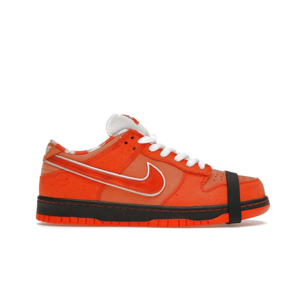 Concepts x Nike SB Dunk Low Orange Lobster Special Box
