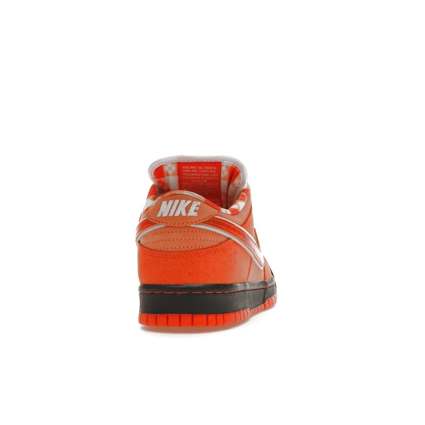Nike SB Dunk Low Concepts Orange Lobster - Image 29 - Only at www.BallersClubKickz.com - Make a statement with the Nike SB Dunk Low Concepts Orange Lobster. Variety of orange hues, nubuck upper, bib-inspired lining & rubber outsole create bold look & comfortable blend of style. Available December 20th, 2022.