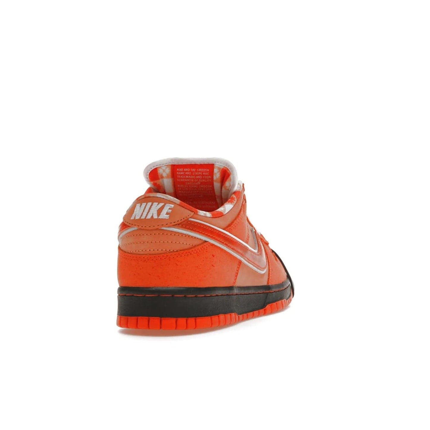Nike SB Dunk Low Concepts Orange Lobster - Image 30 - Only at www.BallersClubKickz.com - Make a statement with the Nike SB Dunk Low Concepts Orange Lobster. Variety of orange hues, nubuck upper, bib-inspired lining & rubber outsole create bold look & comfortable blend of style. Available December 20th, 2022.