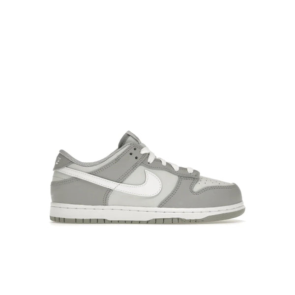 Nike Dunk Low PS Two Tone Grey
